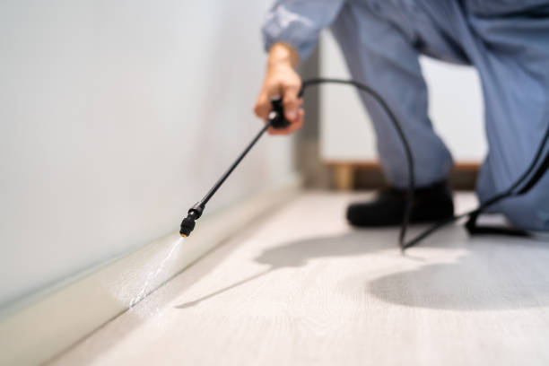 Licensed Pest Control service in Pocatello, ID - Show Me Pest Control