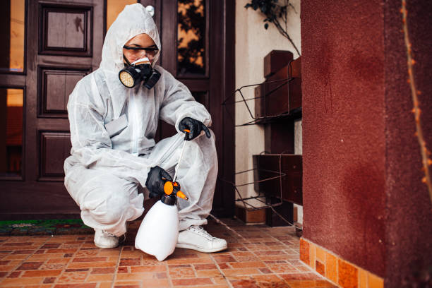 Reliable Wasp Removal contractor in Pocatello, ID by Show Me Pest Control